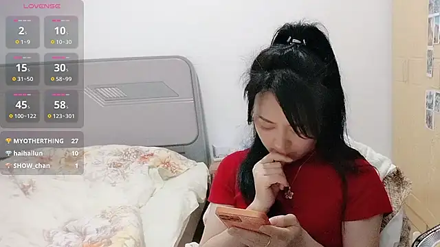 fanfan-FF webcam