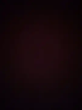 TheDime webcam