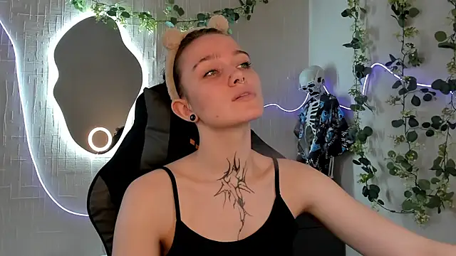 Elastikisss webcam