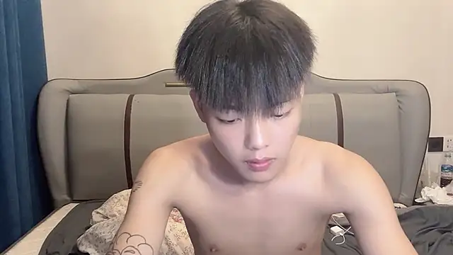 LY-0101 webcam