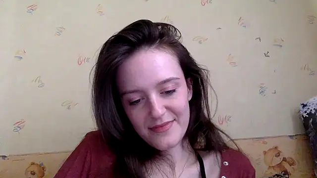 P911 webcam