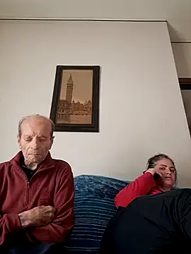 Sony28v webcam