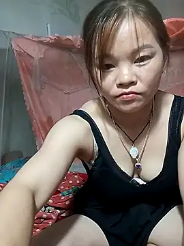 Lan_9x webcam