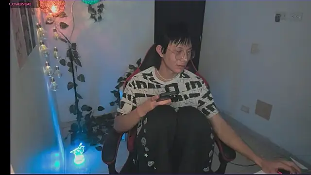 odelei webcam