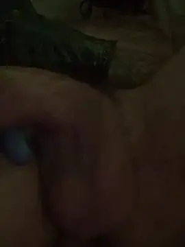 Carlosbigz webcam