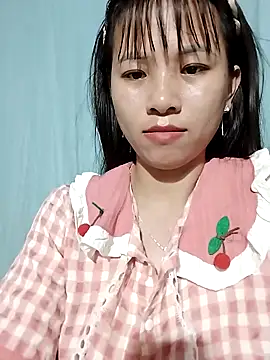 Wily-06 webcam