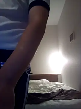 Japanesemask webcam