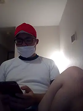 Japanesemask webcam