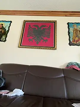 hailzeffn webcam