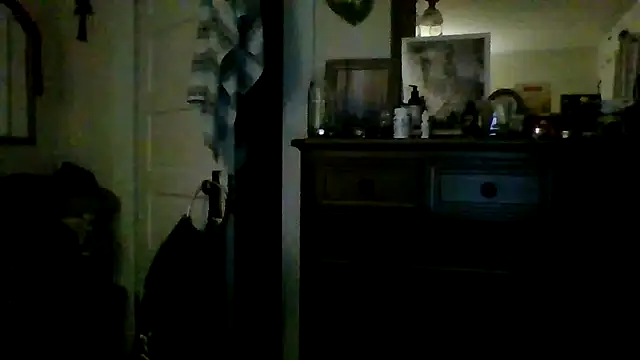 controlmyhole webcam