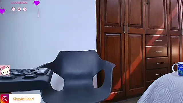 ShayMilleer webcam
