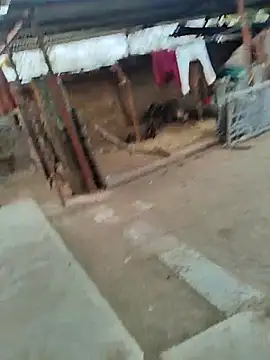 taniya0