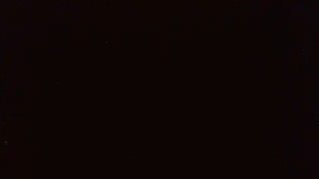 pietje1991 webcam