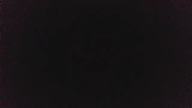 pinkycat webcam