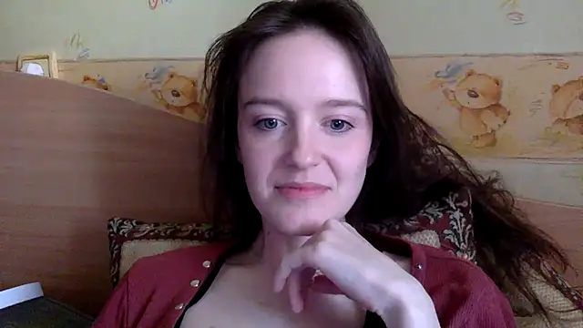 P911 webcam