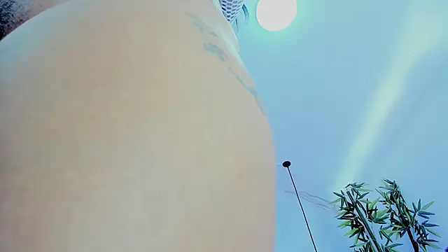 Ibbie_drastic webcam