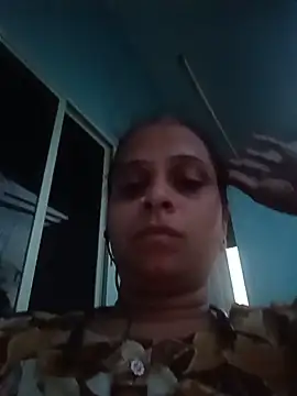 Hansikatelugu webcam