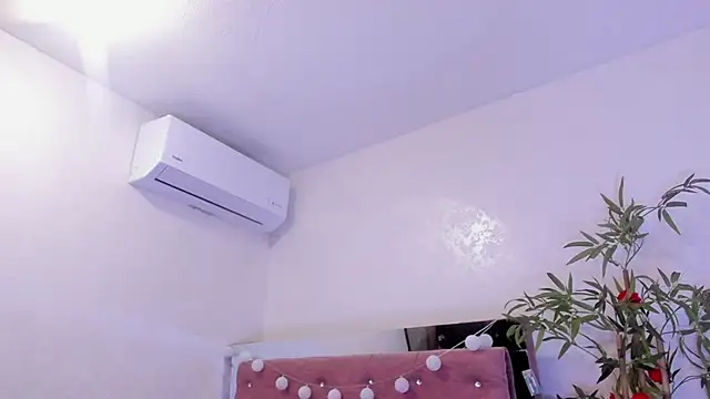 Alaia2 webcam