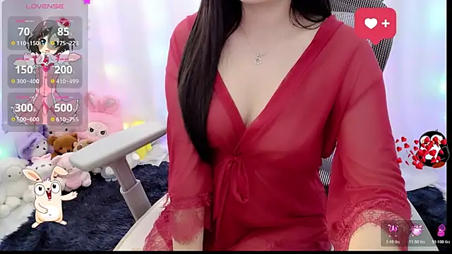 Dully_ana webcam
