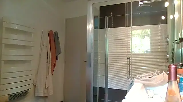 Helinetrav webcam
