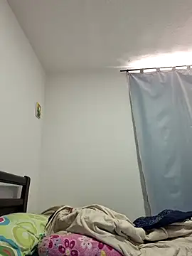IrisBound webcam
