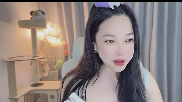 facai-feifei webcam