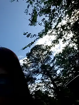 whitetrashdirtyslut webcam