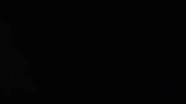 aixa_show webcam