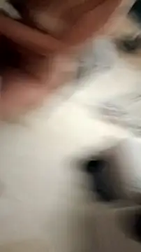 Pablonchy webcam