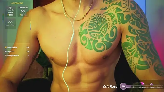 Joylopez_fit webcam