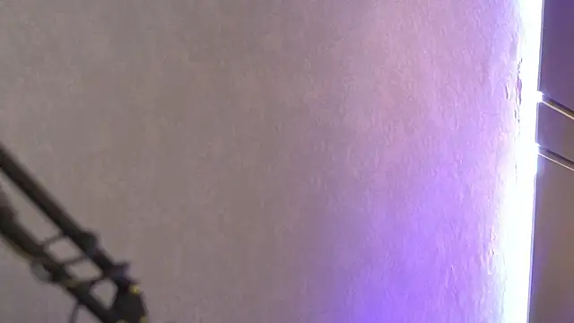 Susan_wall webcam
