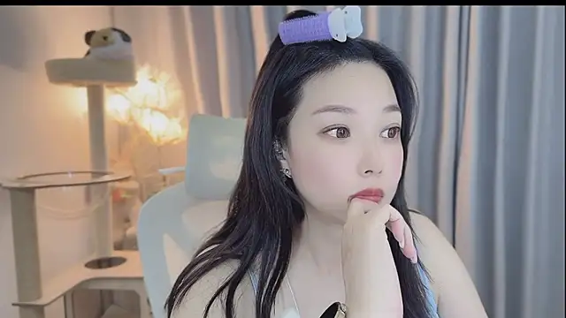 facai-feifei webcam