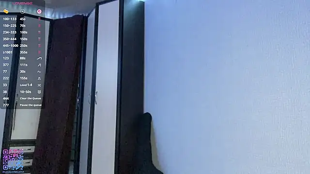 Emmibrilson webcam