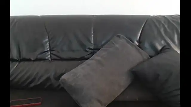 manykittens8 webcam