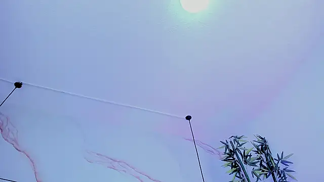 Ibbie_drastic webcam