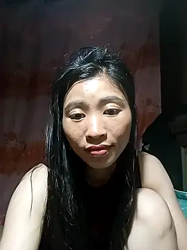 Hiniyk2 webcam