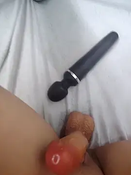 Izelevans webcam