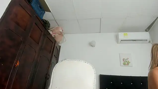 barbie_ds webcam