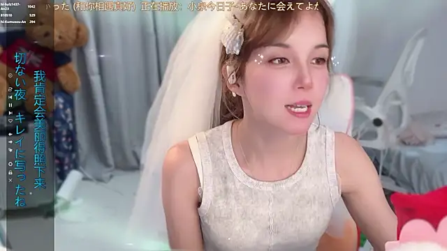hi-AnAn webcam