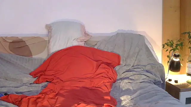 EdelHolz91 webcam