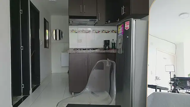 grey___27 webcam