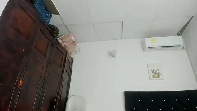 barbie_ds webcam