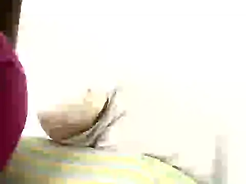 mellow_smoke webcam
