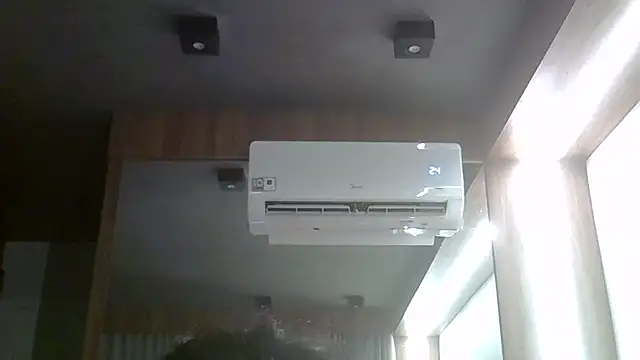 SkinnyKitten webcam