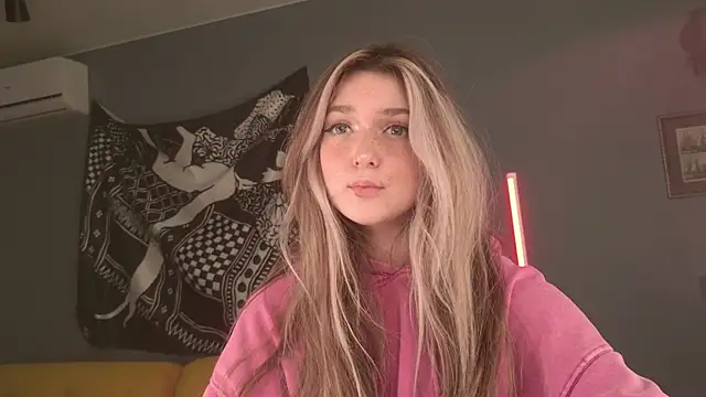 BellaSink webcam
