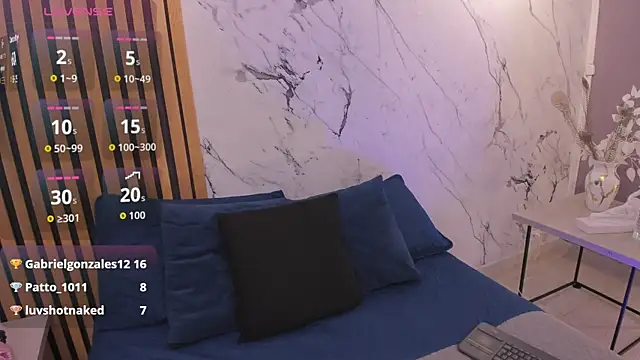 Veravantemp webcam