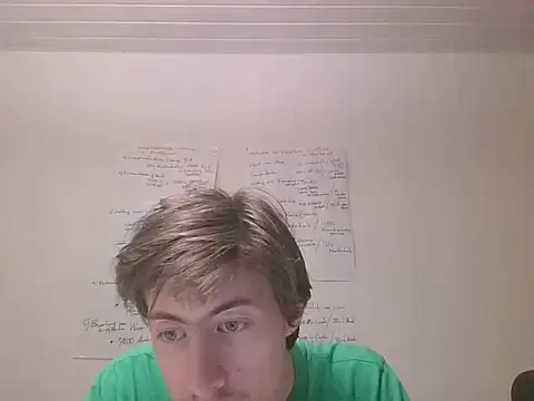 VelvetRagottiOG webcam