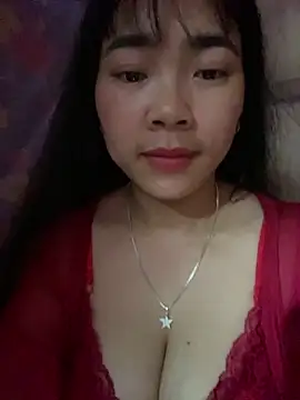 Nul_chal webcam