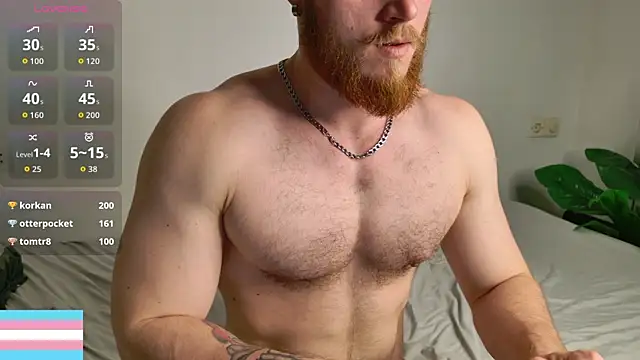 VictorTransMan webcam