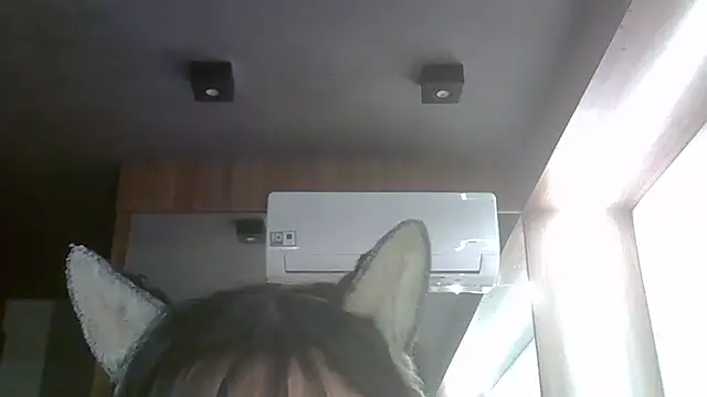 SkinnyKitten webcam
